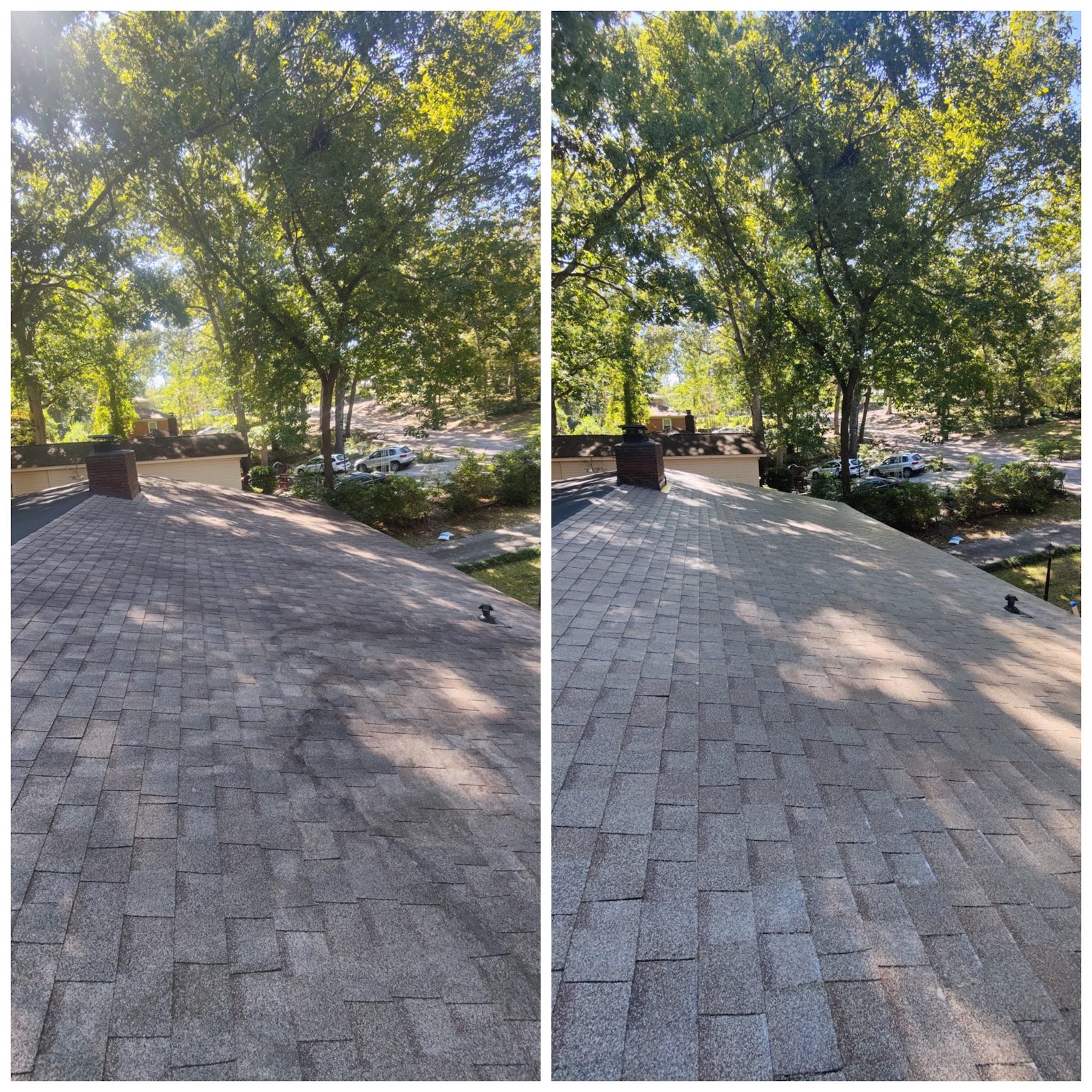 Pavers and concrete cleaned and ready for sealing, a Soda City job