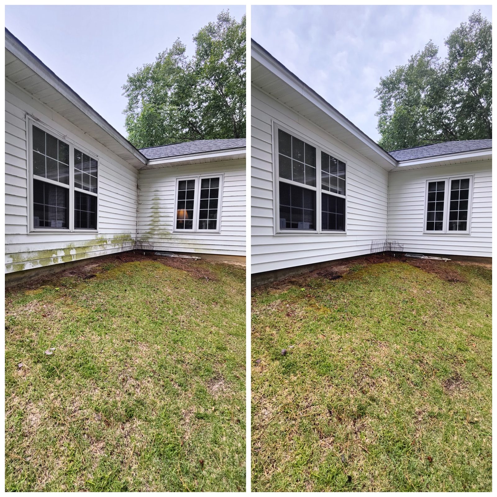 Siding before and after on a Soda City house wash