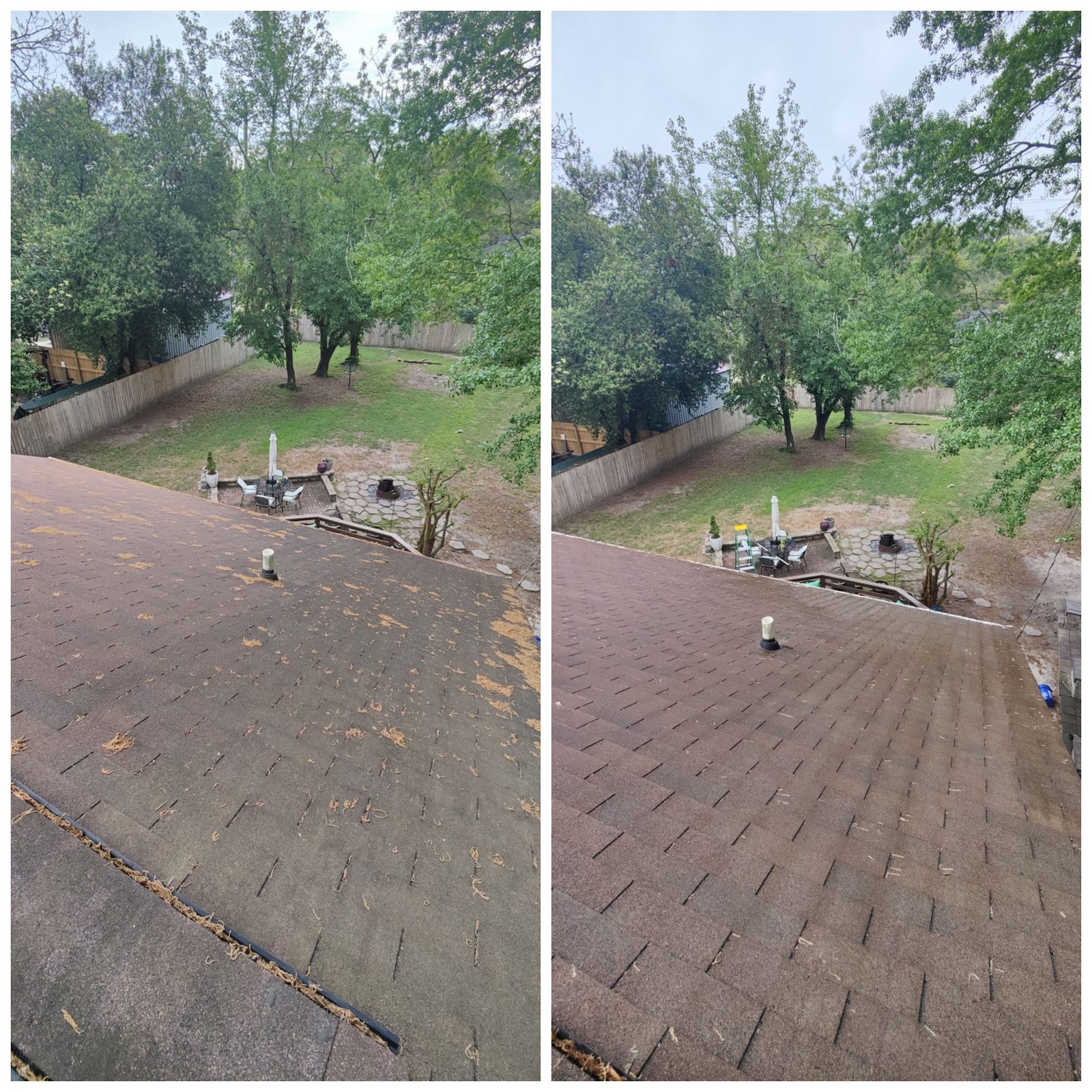 A shingle roof before and after a Soda City soft wash, black streaks gone