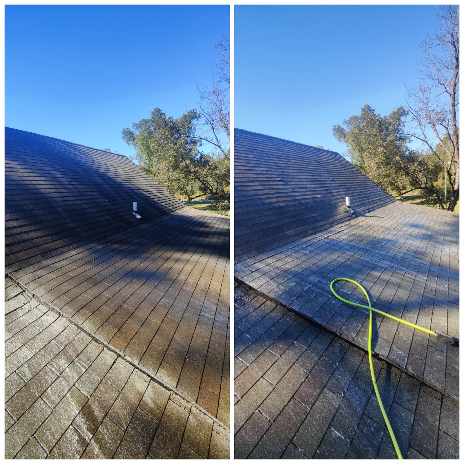 A shingle roof before and after a Soda City soft wash, black streaks gone