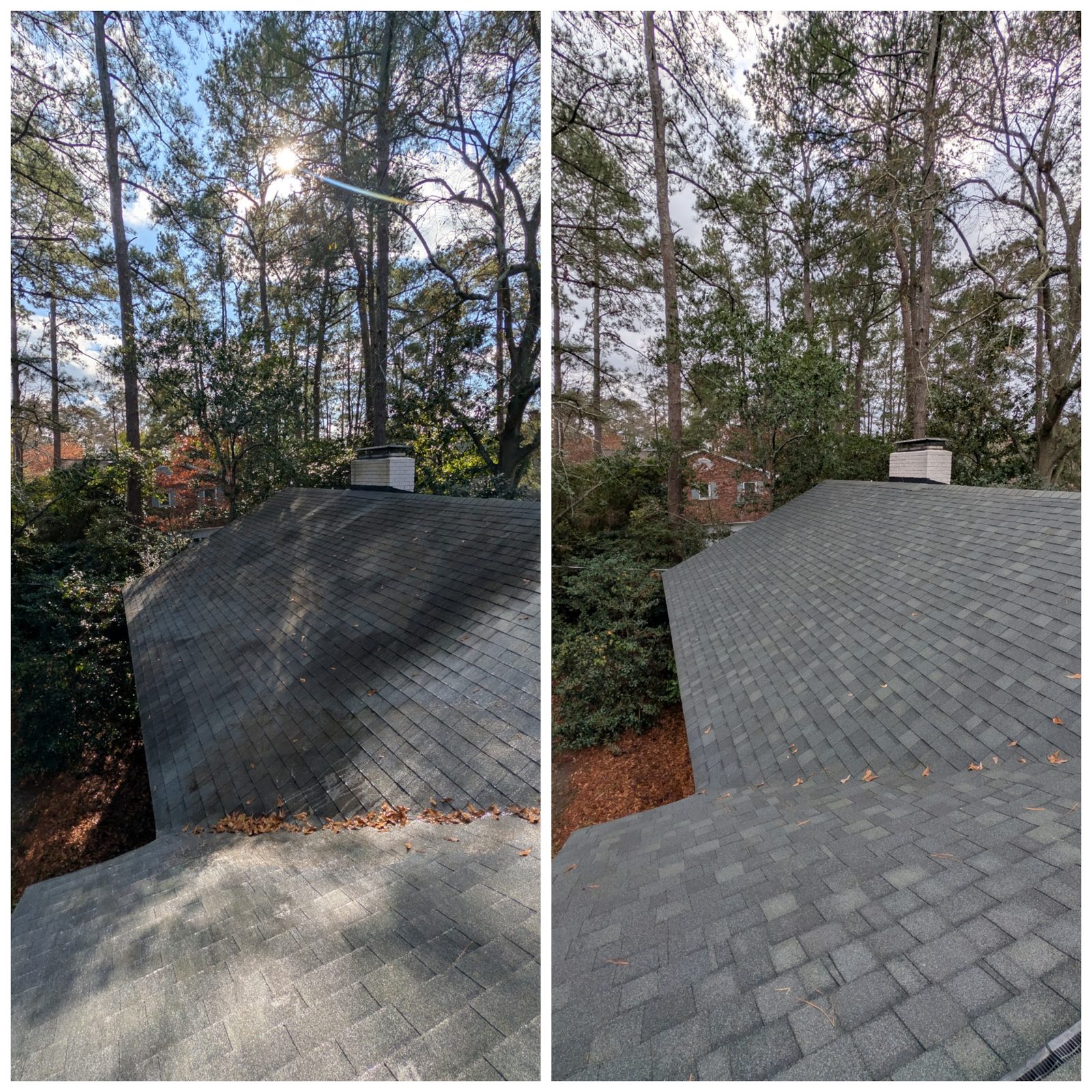 A shingle roof before and after a Soda City soft wash, black streaks gone