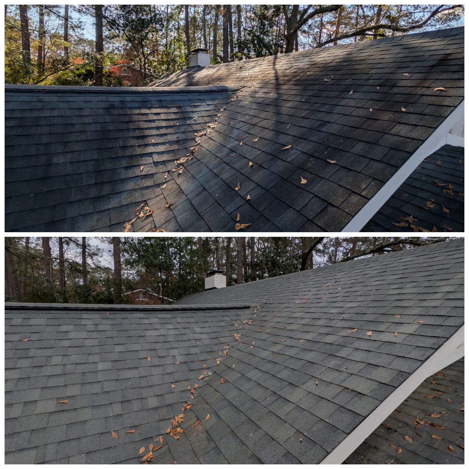 A shingle roof before and after a Soda City soft wash, black streaks gone