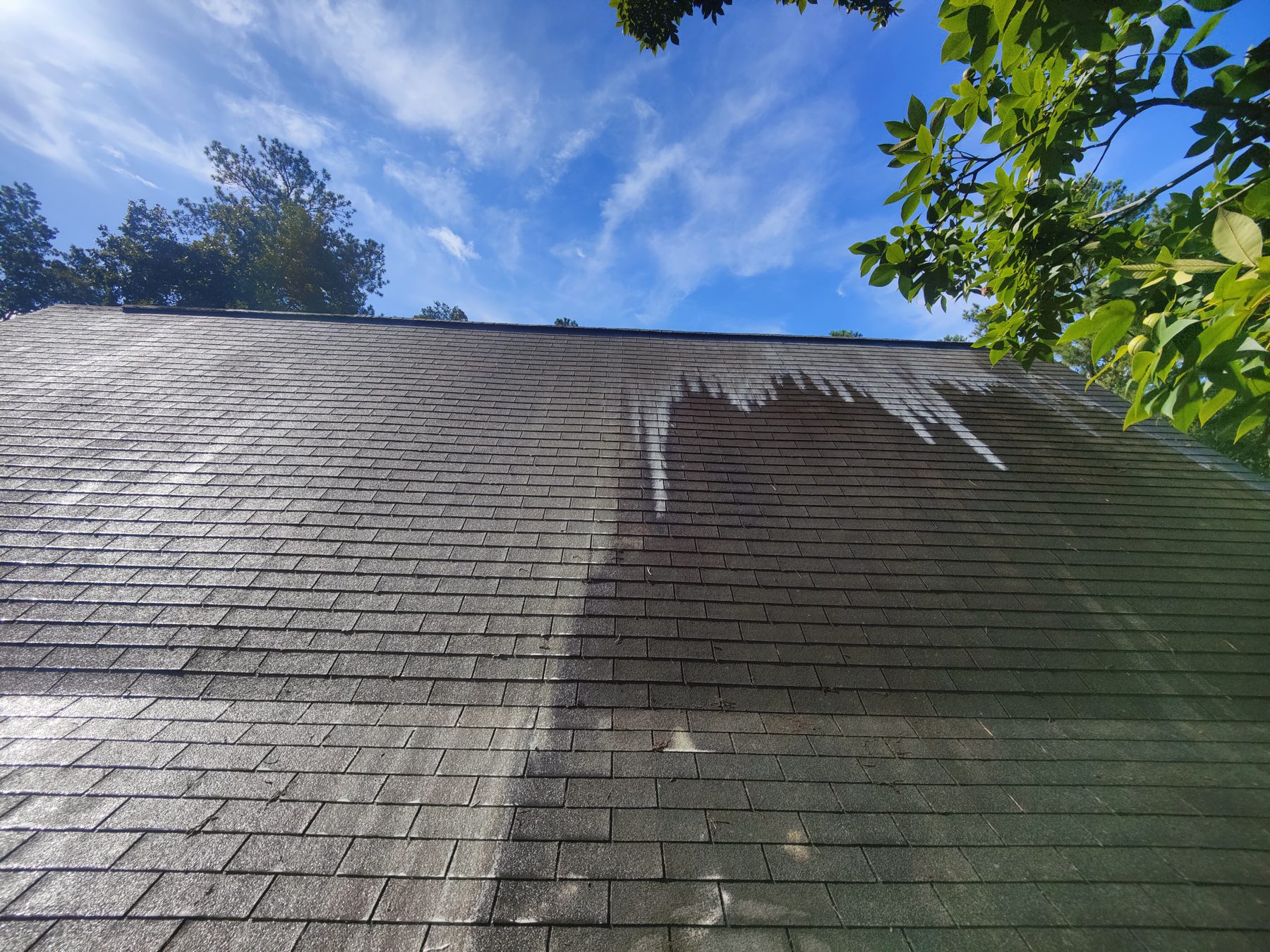 A shingle roof half cleaned, black streaks on one side and clean gray shingles on the other