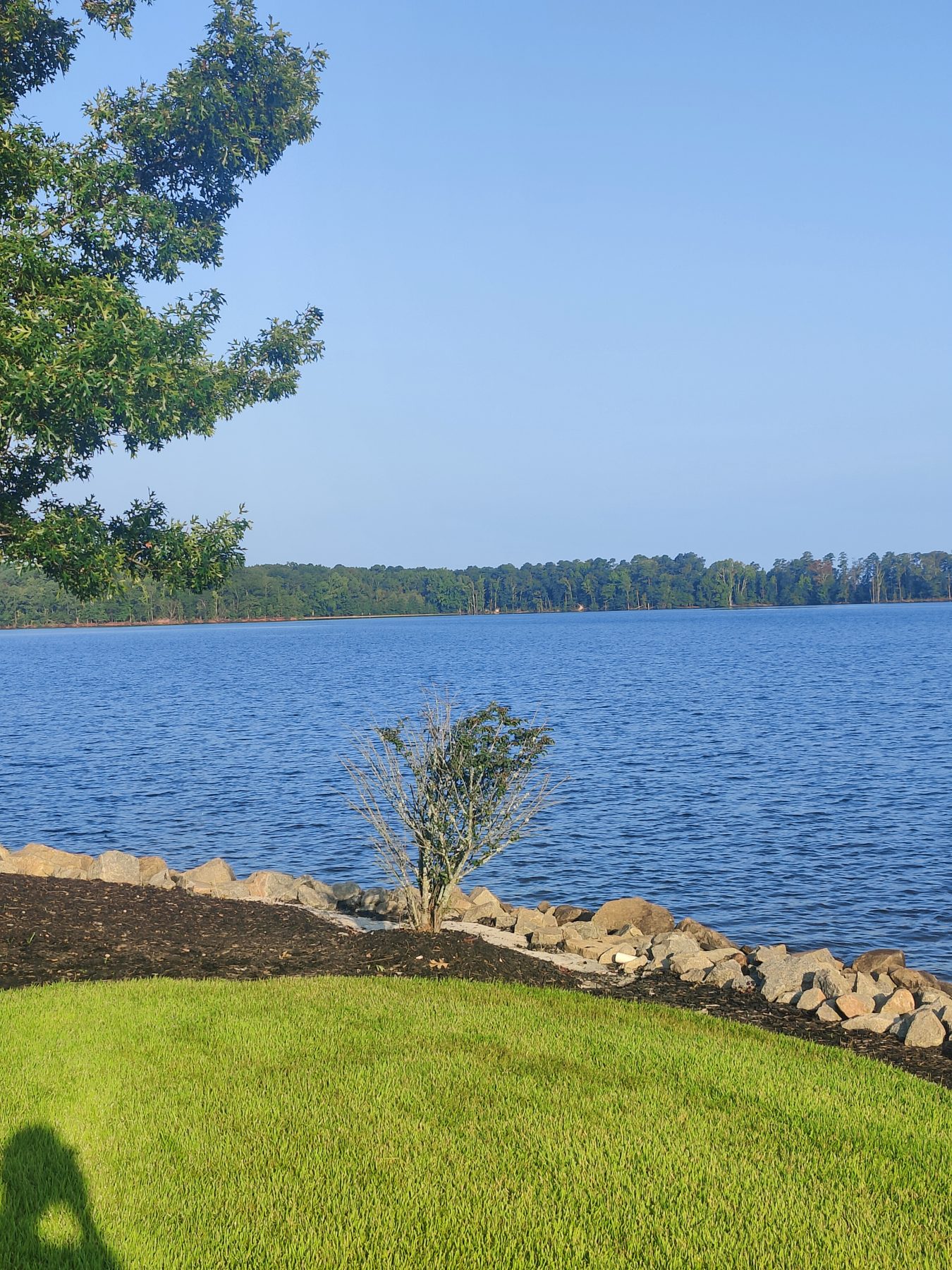 Lake Murray from a lawn in Lexington, rock edging along the shore
