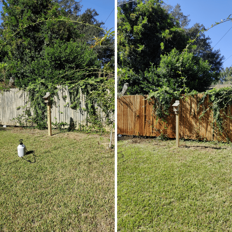 Fence Cleaning Company in Columbia, SC